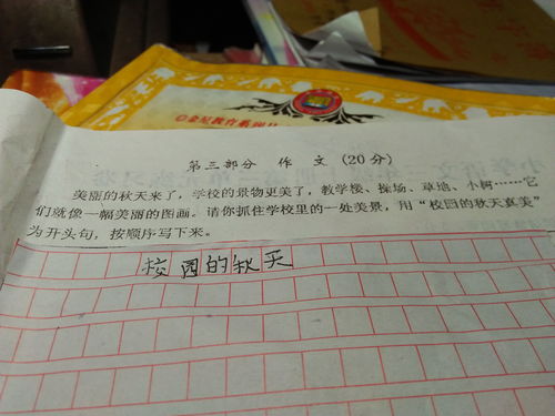 三年级我的名字作文怎么写,一年级用姓名怎么造句？